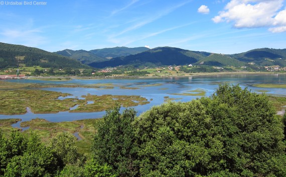 urdaibai